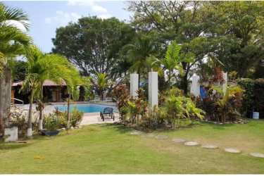 Private tropical backyard with large swimming pool lush garden privacy hedges Costa Esmeralda beachfront Panama
