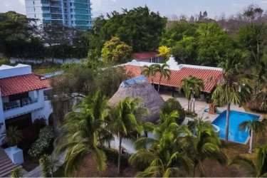 Large private pool with jacuzzi and bohío surrounded by palm trees at Punta Barco estate