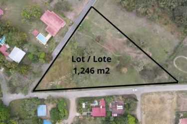 Aerial of 1246 m² triangular beach lot with roads, houses nearby Nueva Gorgona Panama