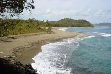 Long natural sandy Caribbean beachfront with lush tropical landscape in Nombre de Dios Panama