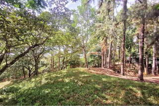 Land with country house for Sale in Pedregal - 5 bedrooms