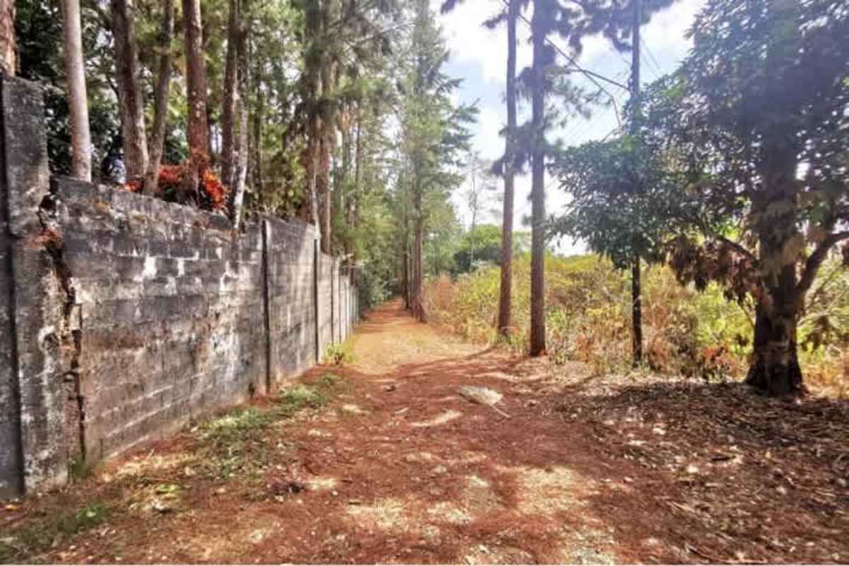 Panoramic mountain landscape and sloping terrain in Cerro Azul Panama ideal for development