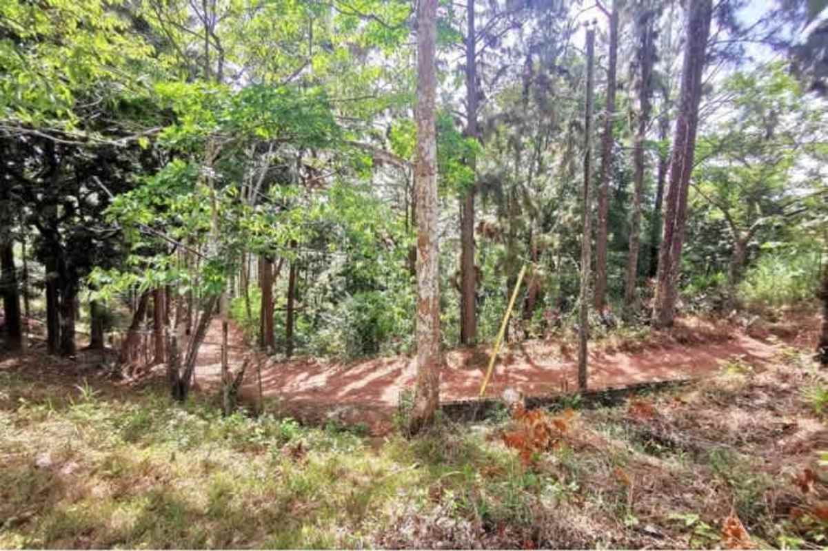 Covered porch and terrace space exterior rustic mountain house in Cerro Azul Panama