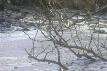 23 Hectare Private Island with White Beaches Chiriqui Panama