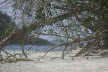 Coastal beach and tropical forest private island in Chiriqui Panama for sale
