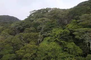 Land Lot for Sale in Altos del María - 0 bedrooms