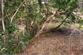 Agricultural Land and Farm for Sale in Rodeo Viejo - 0 bedrooms