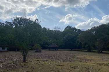 Small rustic farm structure surrounded by greenery in San Carlos Panama