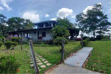Covered wrap-around porch with landscaped garden rural property Colon