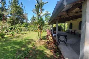 Forested lot with mature trees flowering bushes natural clearing Colón Panama farm