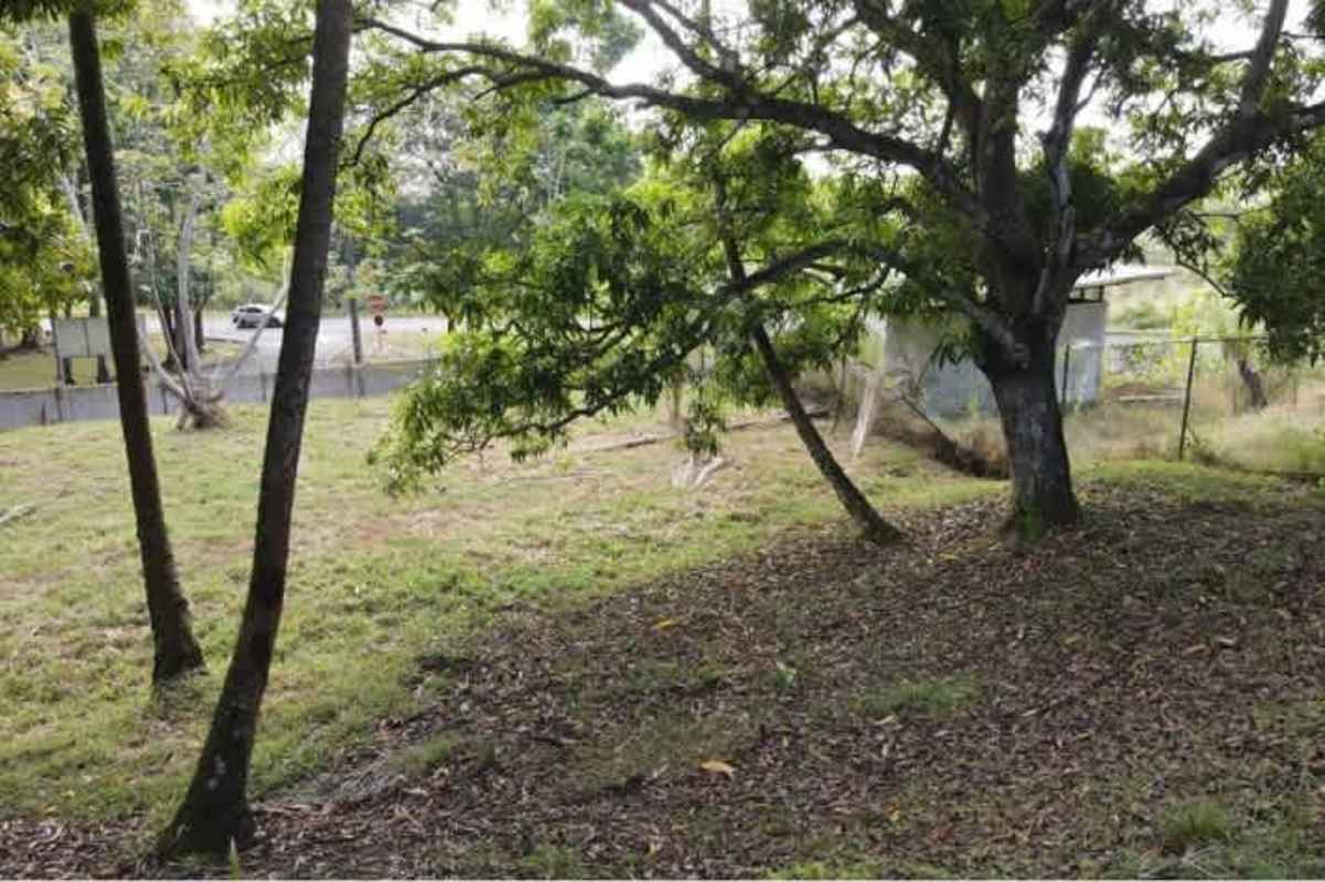 Vacant lot with mature trees for development in Ciudad Jardín Albrook Ancón
