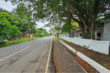 Quiet tree-lined commercial road near property in Veracruz Panama