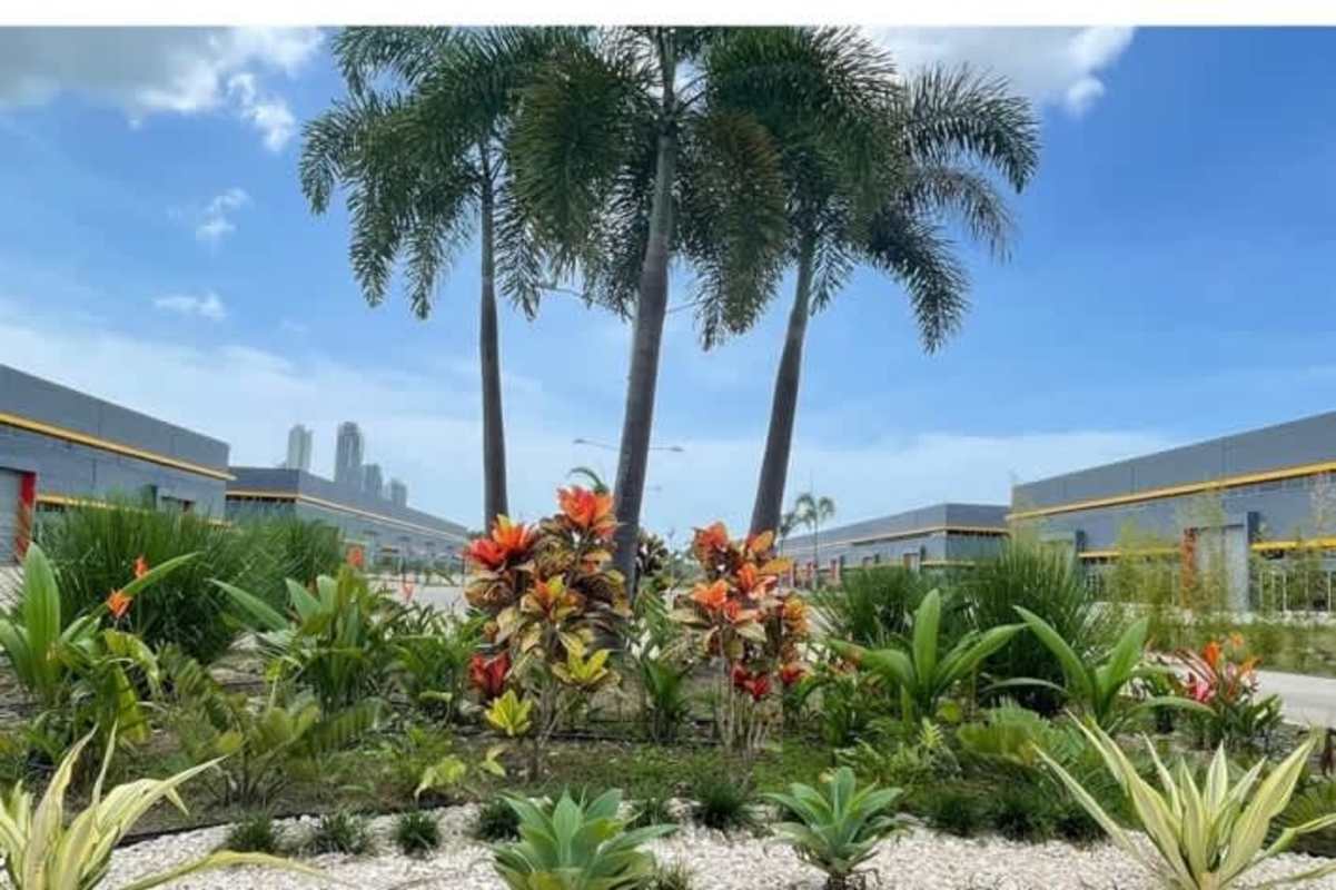 Entrance view of warehouse with loading bays and palm landscaping Las Mañanitas Panama