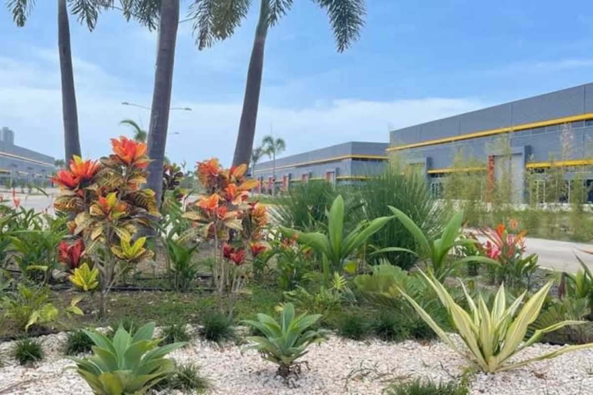 Multiple industrial warehouse units with rolling shutter doors and landscaped surroundings in Panama City