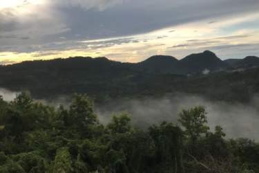 Lush mature trees dense vegetation beautiful countryside land in Chame Panama