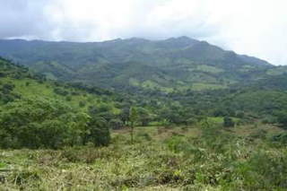 Land / Farm for Sale in Chame - 0 bedrooms