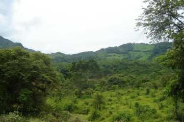 Rolling green hills suitable for development or agriculture in mountain area of Chame Panama