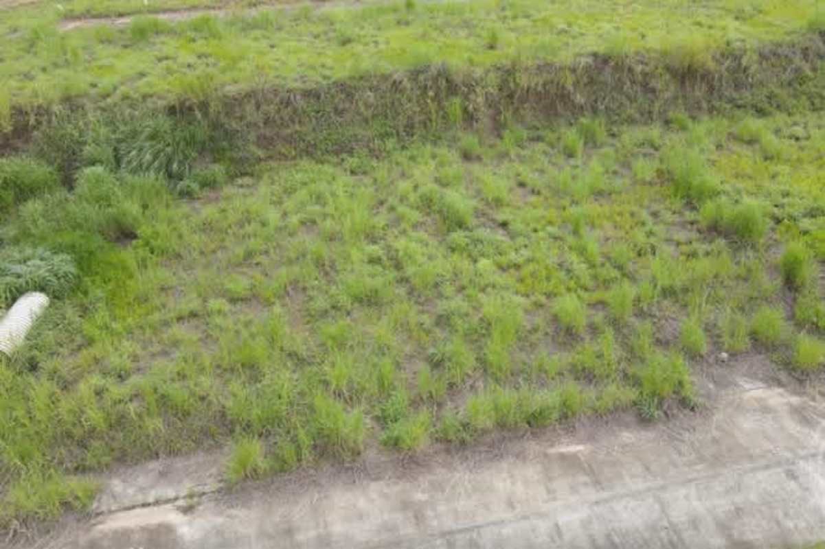 Residential lot for sale with paved access in Green Valley Panama eco city project