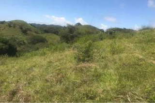 Land for Sale in Tonosí - 0 bedrooms