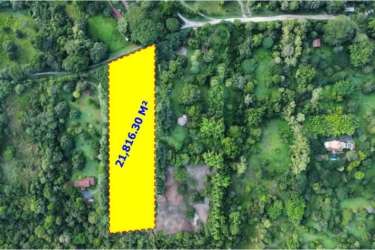 Aerial shot of large rectangular land lot highlighted amidst greenery Panama