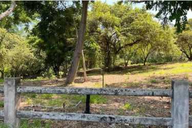 Rustic outdoor land with trees and open grassy space in rural San José San Carlos