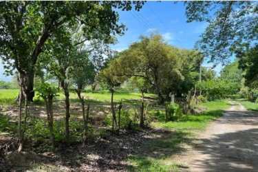 Rural property with wooden fence, mature trees in San José San Carlos Panama