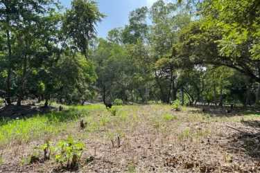 Partially cleared natural land with mature trees in San Carlos Panama