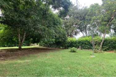 Large grassy fields with trees and storage buildings on farm in Capira Panama Oeste