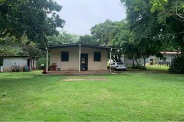 Open farmland plot with natural vegetation trees and grass for sale in Capira Panama Oeste