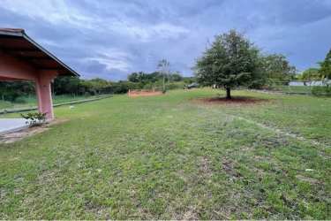 Large flat lot with trees ideal for building countryside home San Carlos Panama