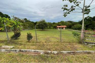 Open grassy rural plot with mature trees perfect for building in San Carlos Panama