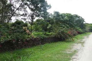 Farm/Land for Sale in Las Lagartijas - 0 bedrooms