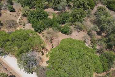 Subdivision plan map with Rio Tetita river and rural plots at Las Lagartijas farm in Panama