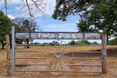 Wide open grassy land pasture in Aguadulce Coclé available for development or ranching