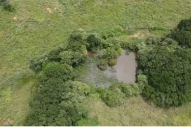 Overhead of rural pond surrounded by green terrain in Aguadulce Coclé