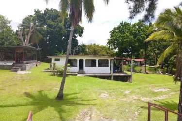 Tropical one-level house with garden lush lawn palm trees in Las Lajas Coronado Panama