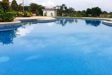 Resort-style pool surrounded by landscaped gardens Rodeo Viejo San Carlos Panama