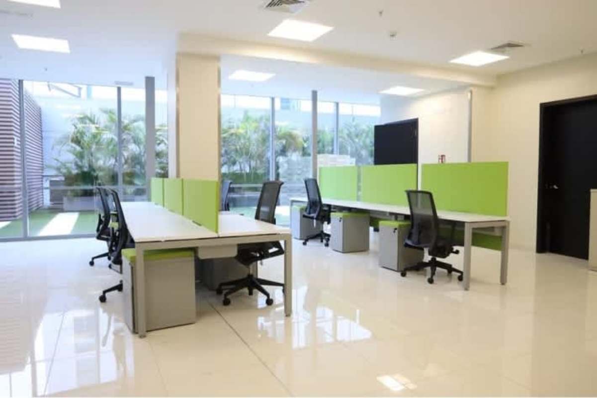 Daylit open plan modern office space with partitioned green cubicles commercial rental in Panama City