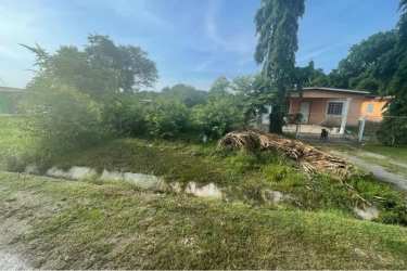 Vacant grassy lot with overgrowth beside small single-story house in Anton Coclé Panama