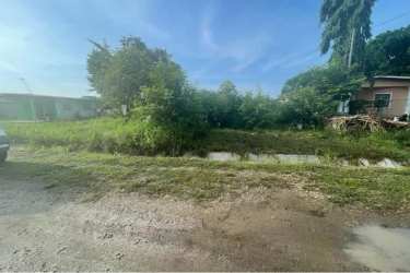 Vacant developable land with vegetation next to gravel road in Anton Coclé Panama