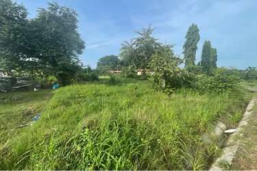 Vacant green open plot with trees and clear sky ideal for residential development in Anton Coclé Panama