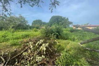 Land / Lot for Sale in Anton - 0 bedrooms