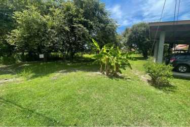 Lush backyard with mature greenery, tropical plants, shaded area at Coronado community Panama