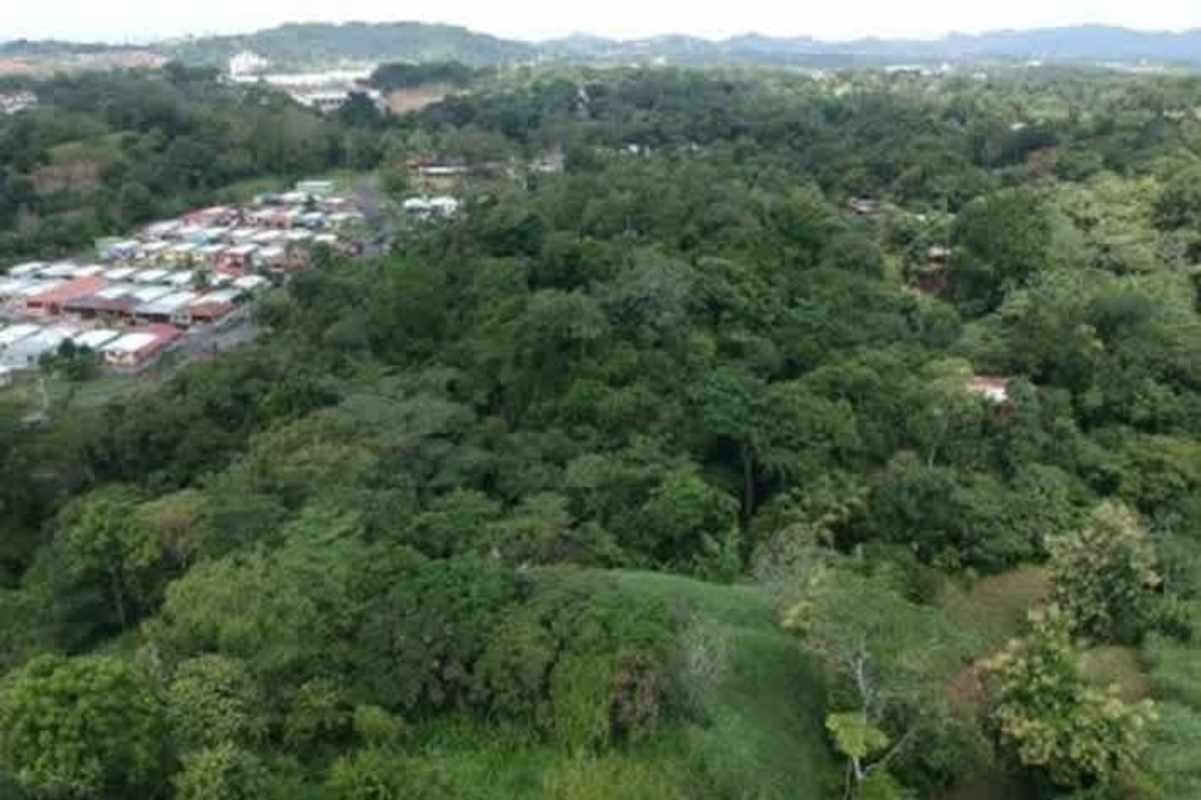 Aerial forest area adjacent large land parcel in Villalobos Panama for sale