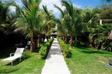 Beautifully landscaped tropical pathway with palm trees leading through Paradise Point community