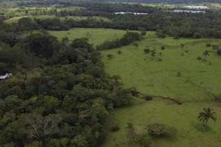 Farm / Ranch / Agricultural Land for Sale in El Coco - 1 bedroom