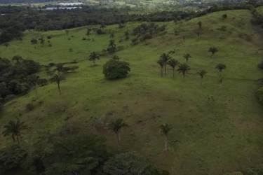 Pastureland with enhanced grass at farm sale El Coco La Chorrera