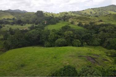 Green fields, rolling hills and countryside landscape of farmland in La Chorrera Panama