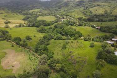 Green pasture and natural water sources on farmland for sale in El Coco La Chorrera Panama Oeste