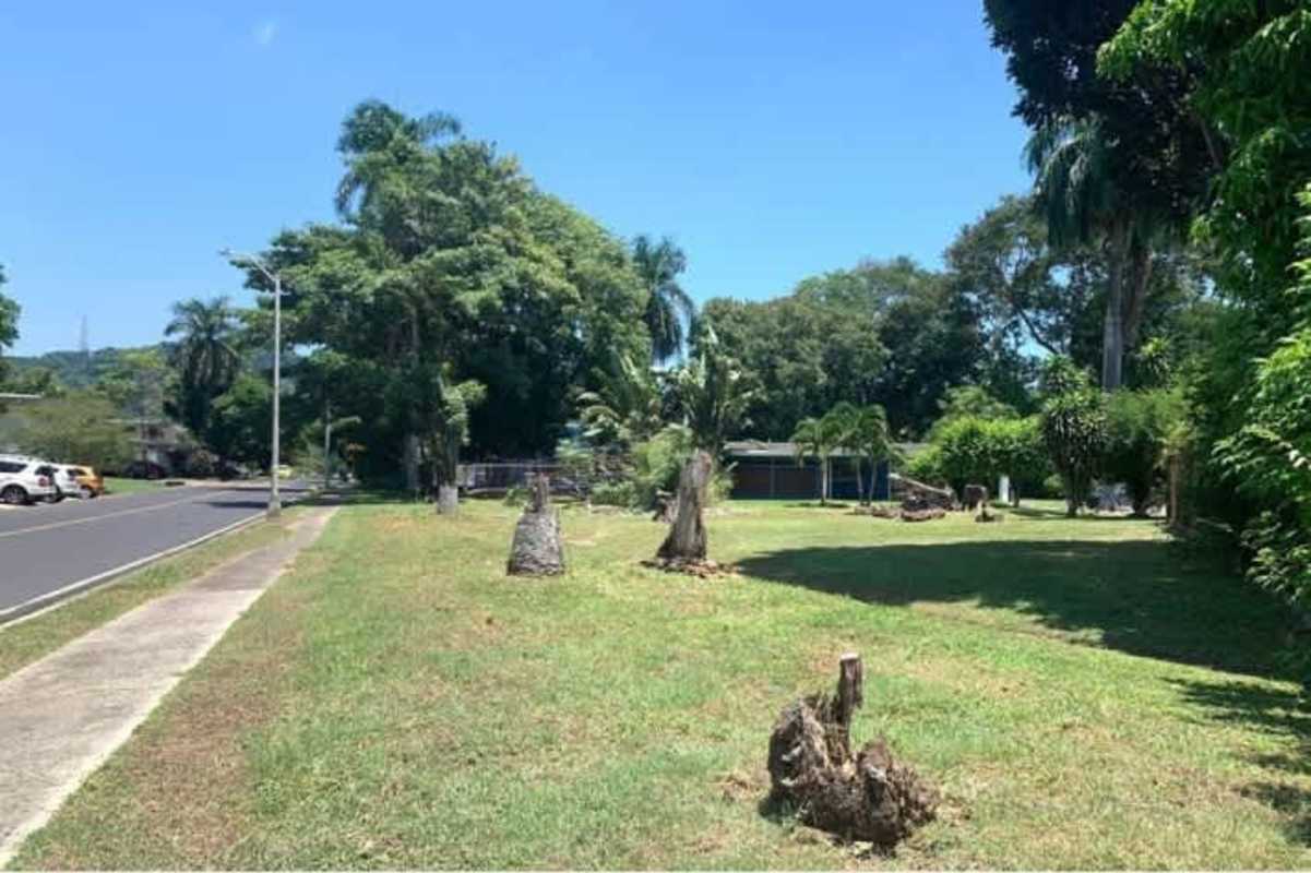 Large grassy flat commercial plot with tropical trees La Boca district Panama City